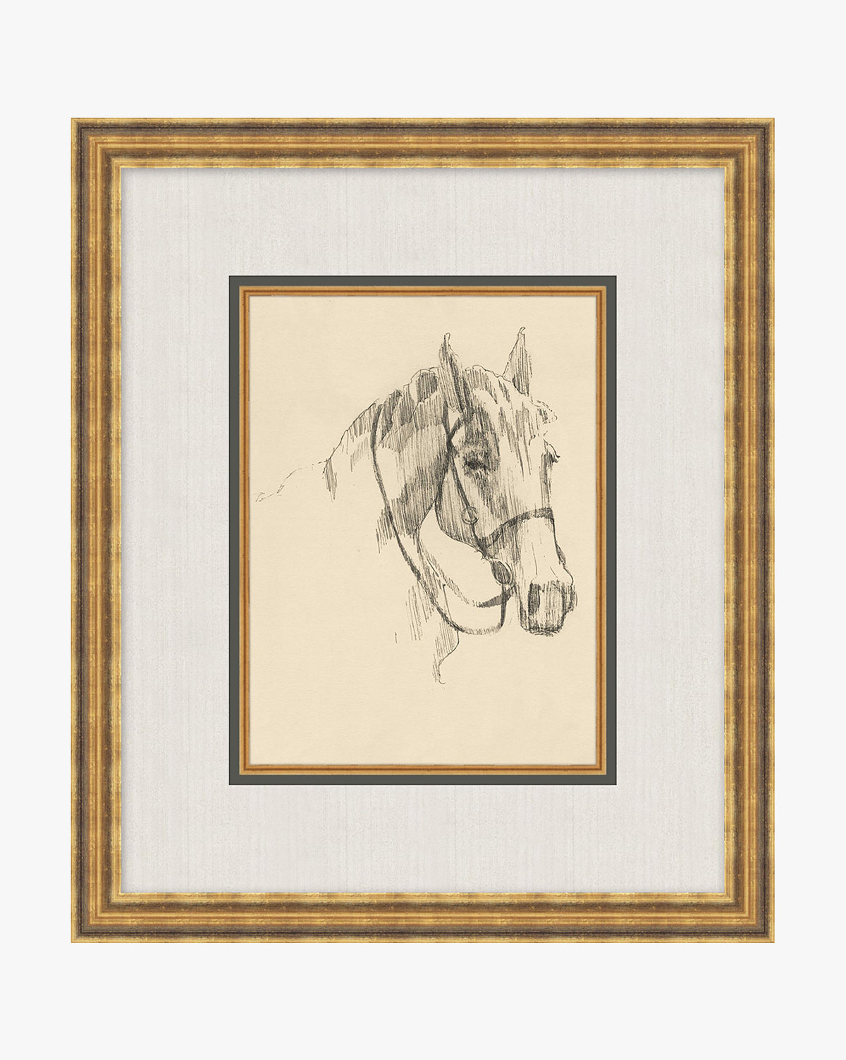 Equine Lines 3