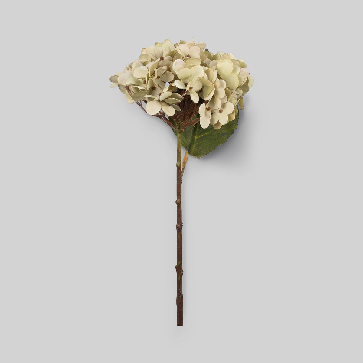 Faux Hydrangea, Soft Green