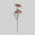 Faux Queen Anne's Lace, Blush