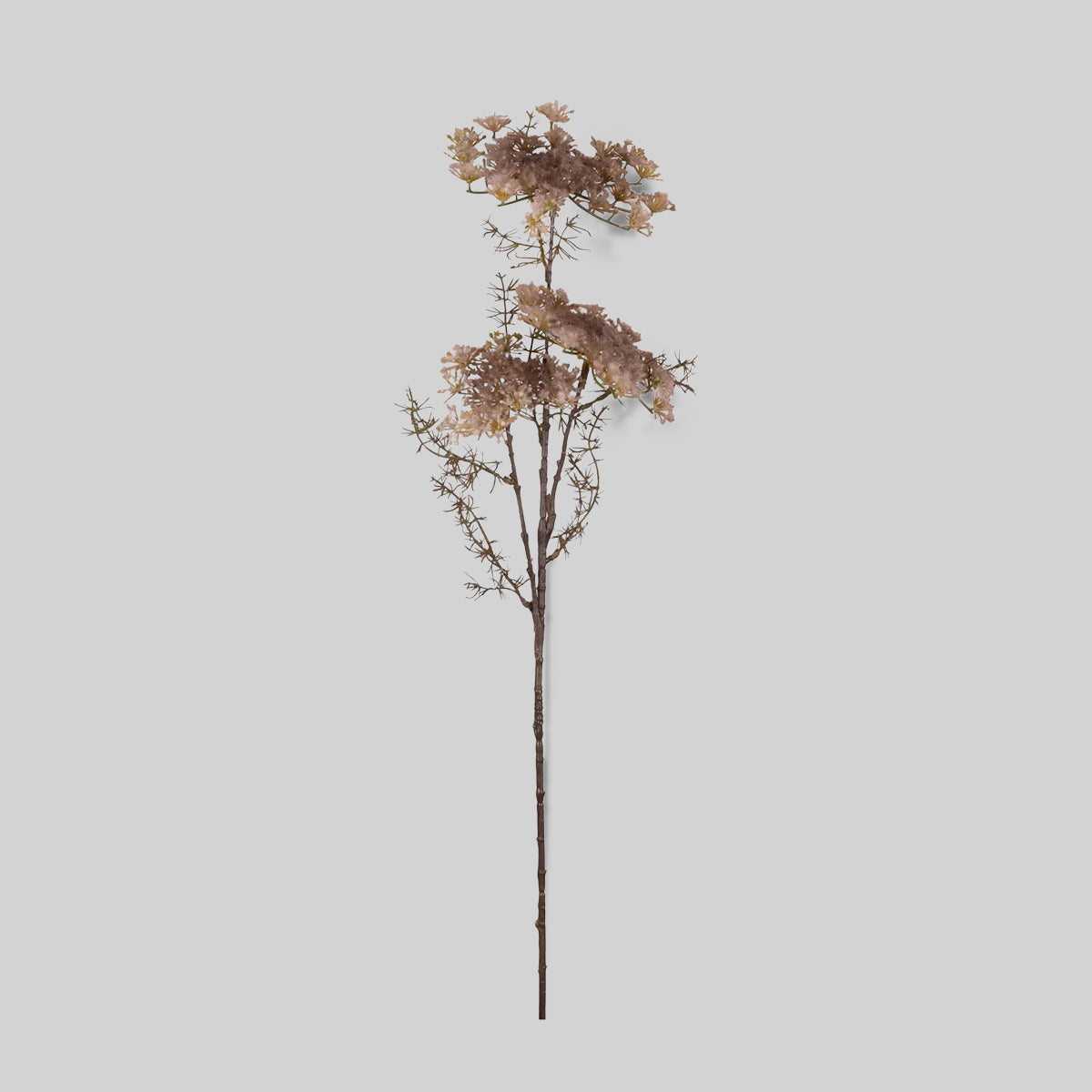 Faux Queen Anne's Lace, Blush