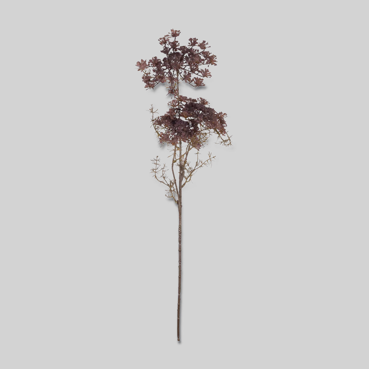 Faux Queen Anne's Lace, Purple