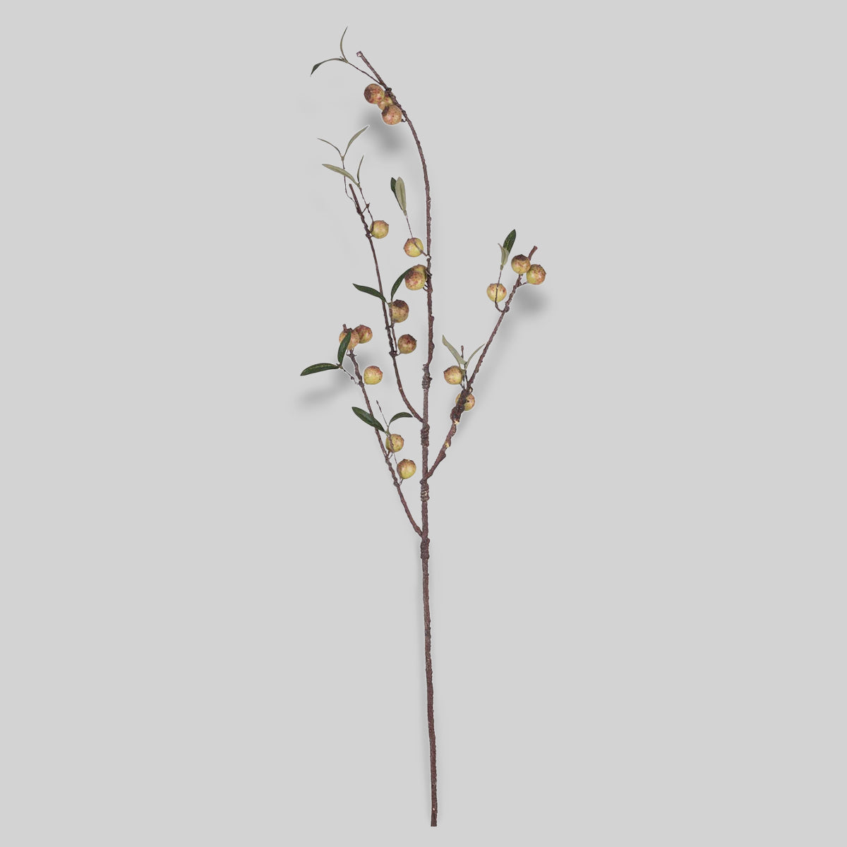 Faux Dappled Rosehip
