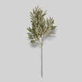 Faux Willow, Soft Green