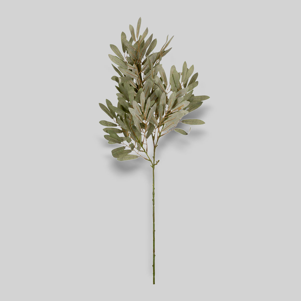 Faux Willow, Soft Green
