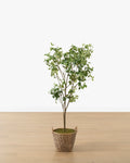 Faux Tangerine Tree
