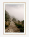 Foggy Path