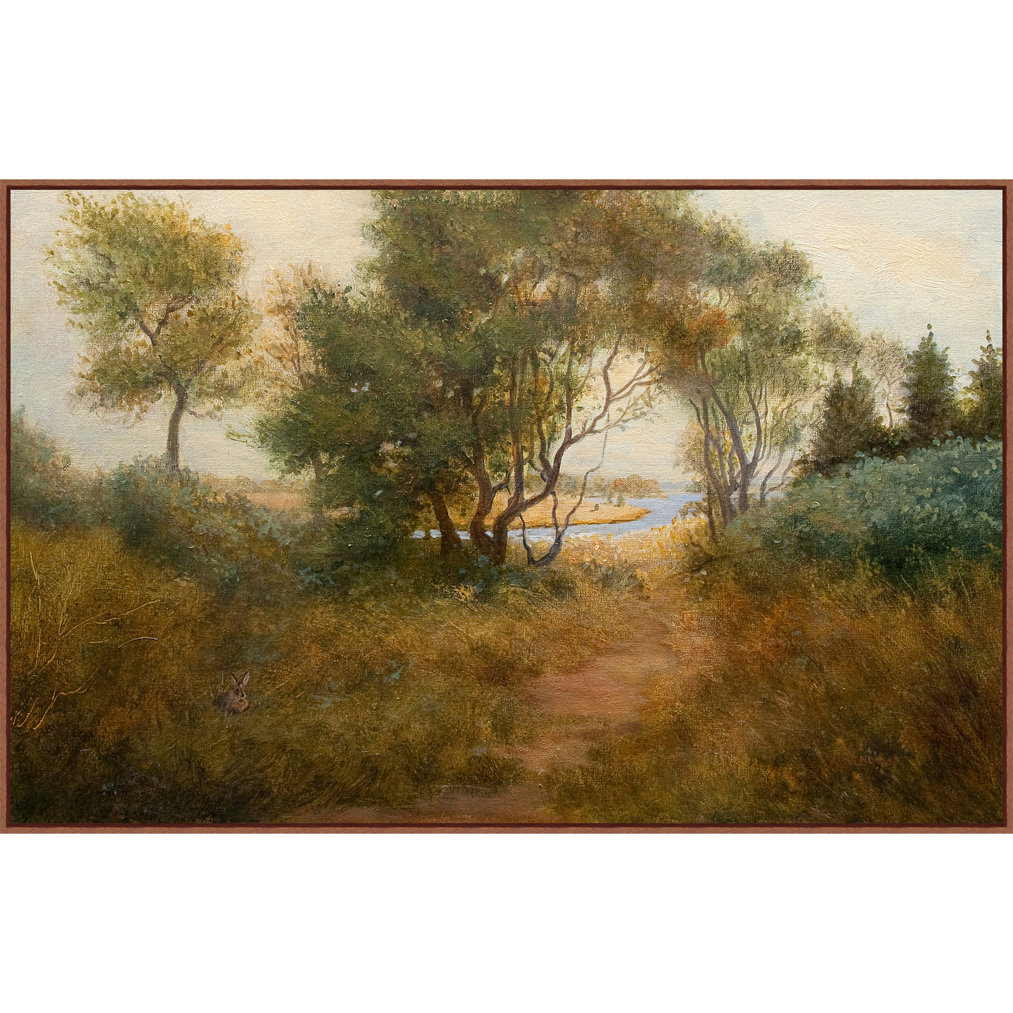 Brush Covered Path