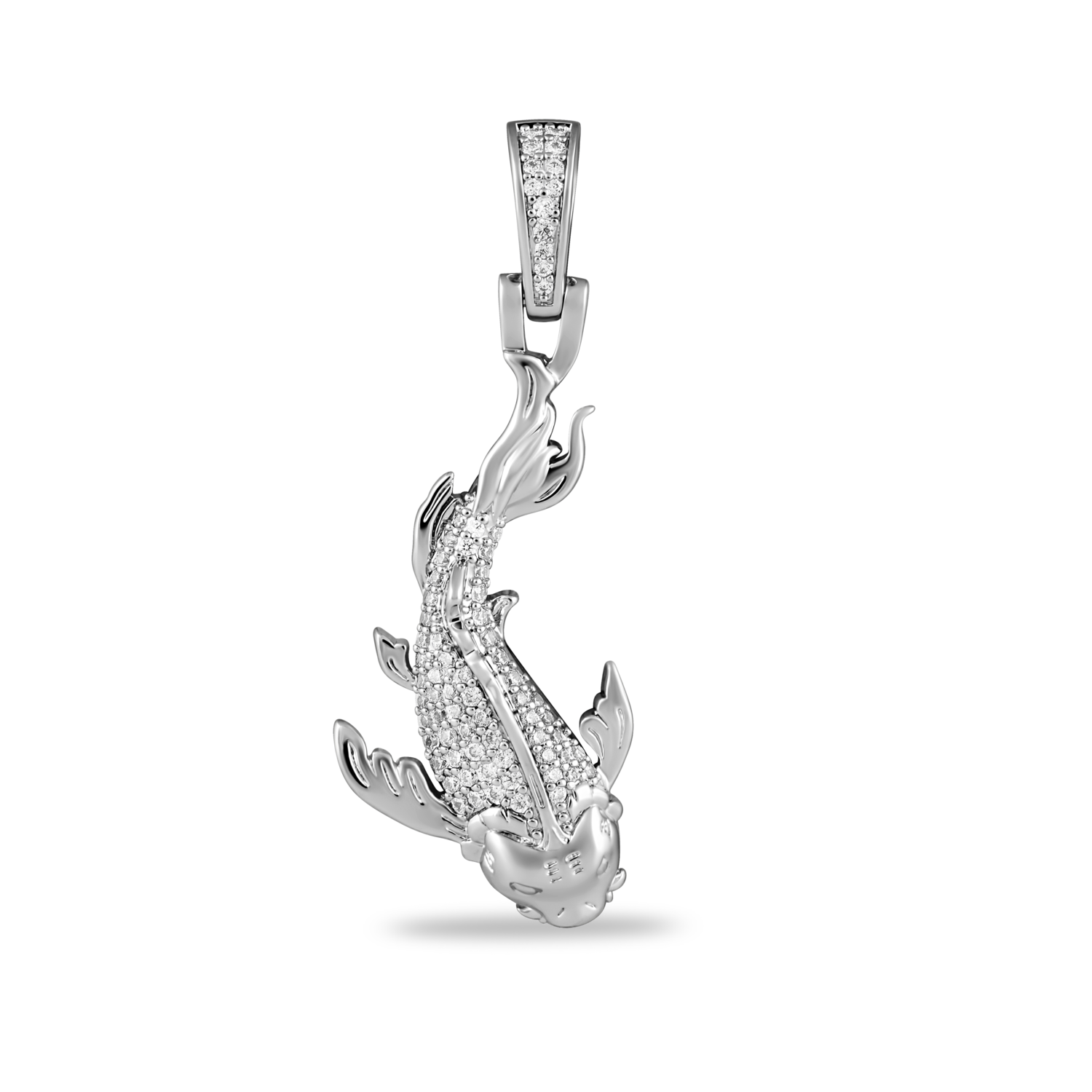 Koi