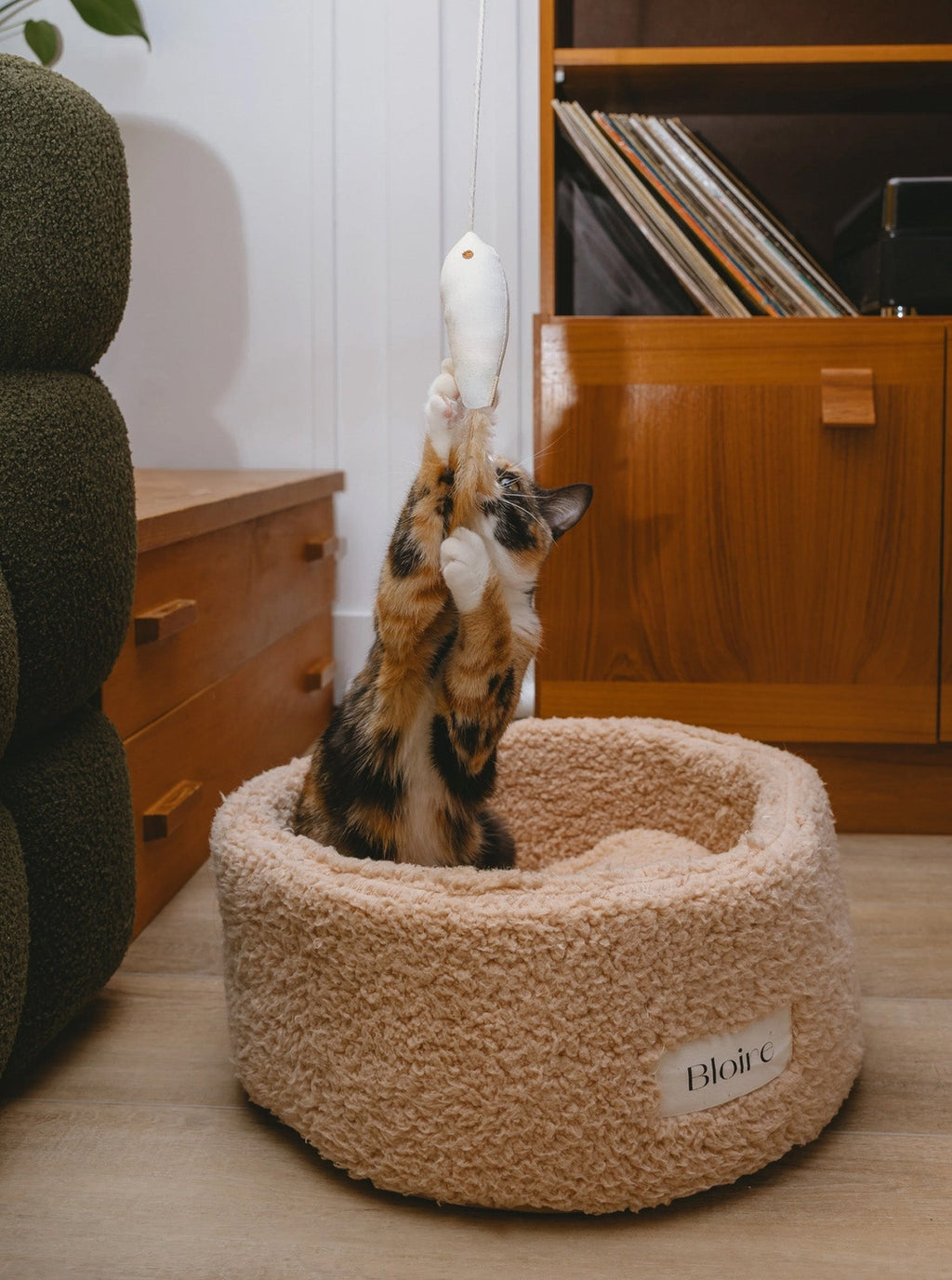 GOLDEN FISH CAT TOY