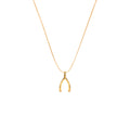 Wishbone Charm Make A Wish Necklace