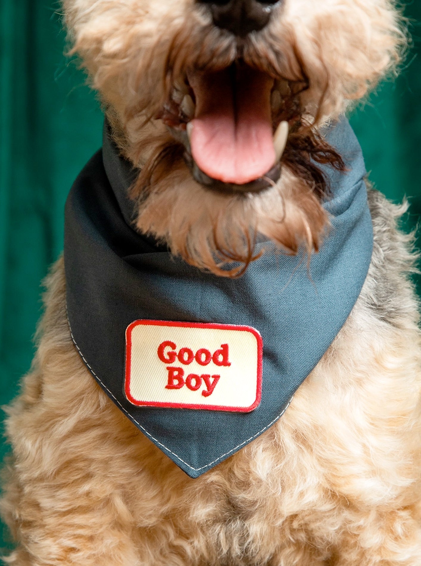 GOOD BOY PATCH