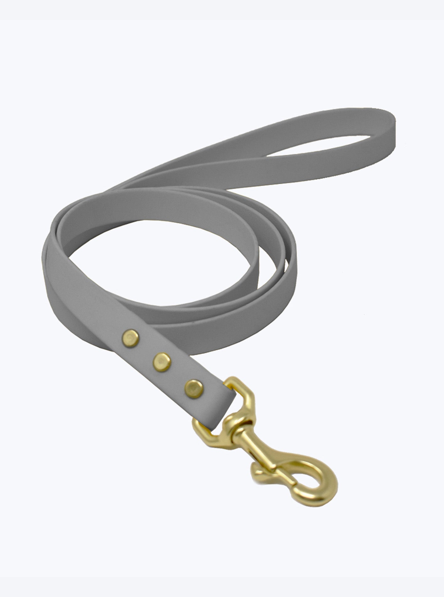 CLASSIC BRASS LEASH by High Tail Hikes