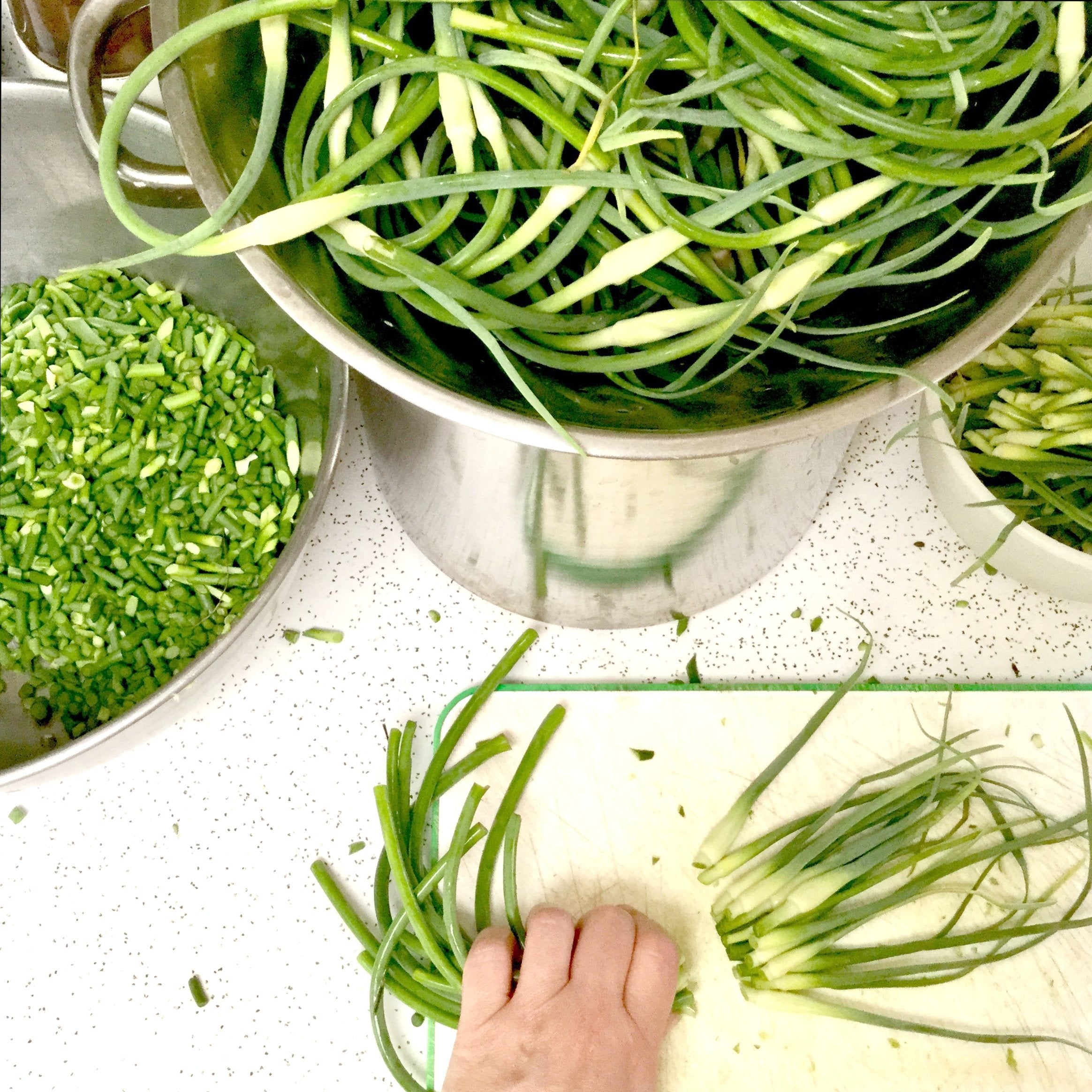 Garlic Scape Pickle