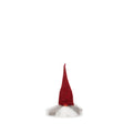 Viktor with Grey Hair and Red Cap