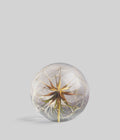 Goatsbeard Botanical Resin Paperweight