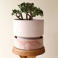 Hoff Ø30 Planter