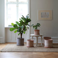 Modena Ø35 Planter & Saucer