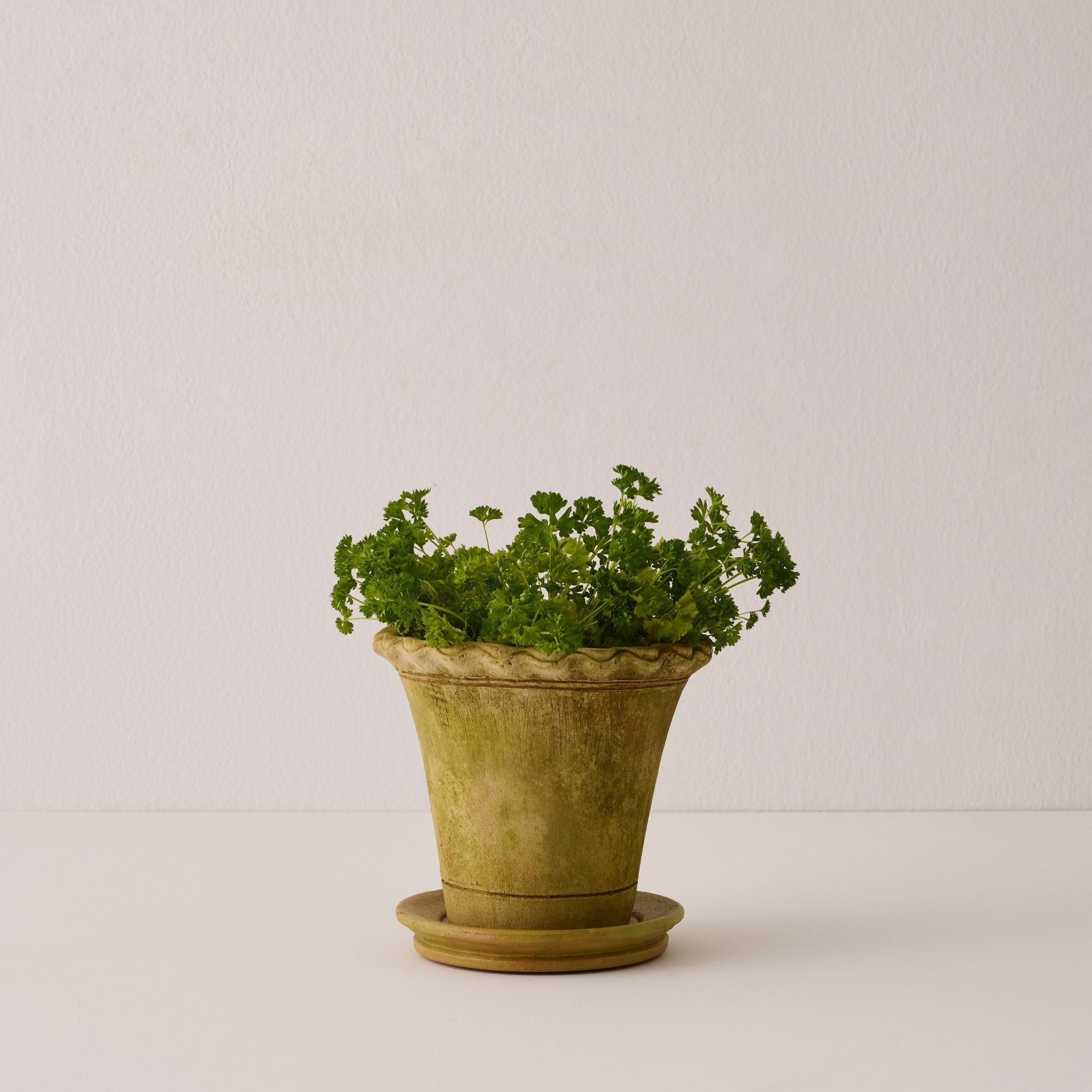 Aged Pie Crust Nursery Short Planter - X-Small