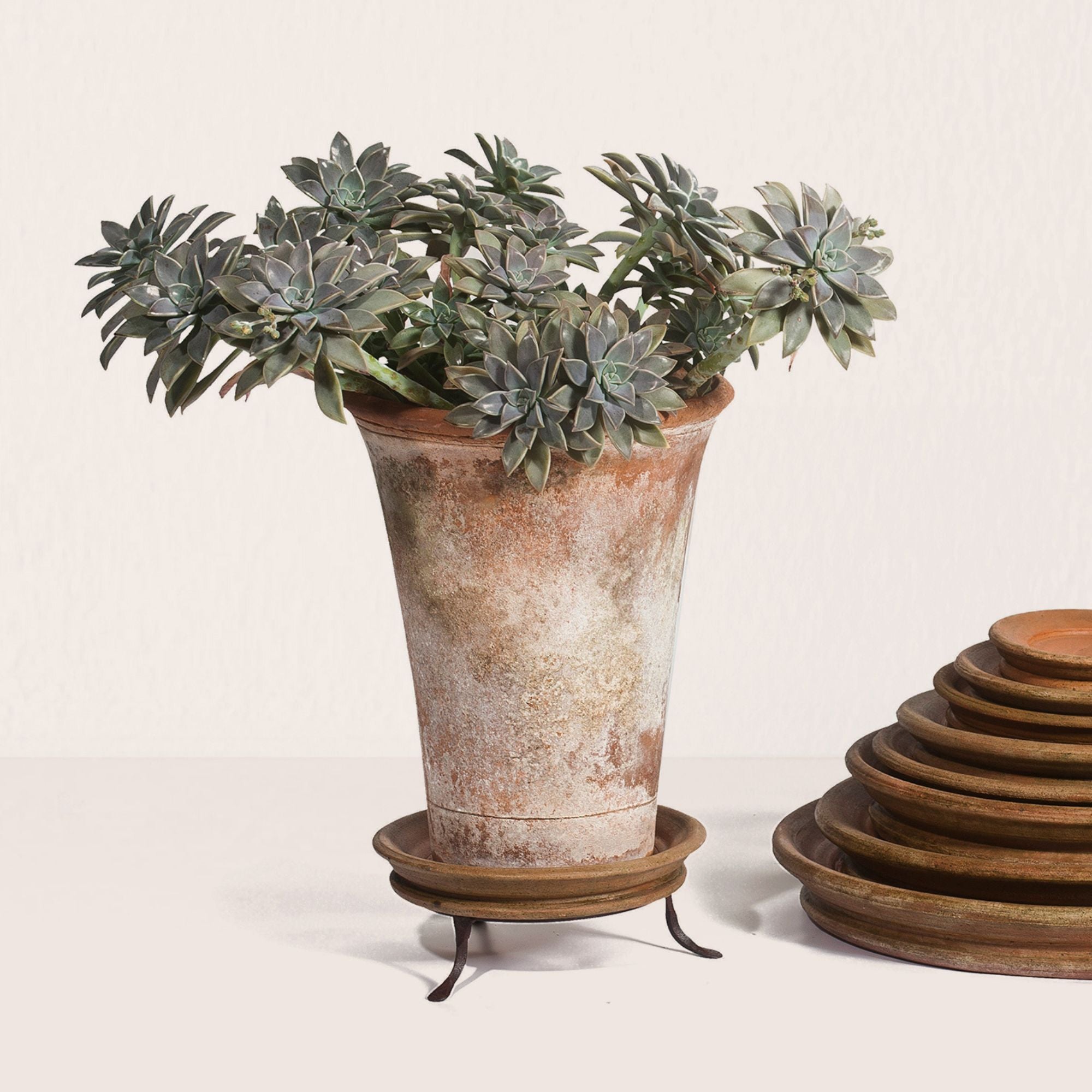Iron Planter Trivet