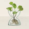 Canopy Vase