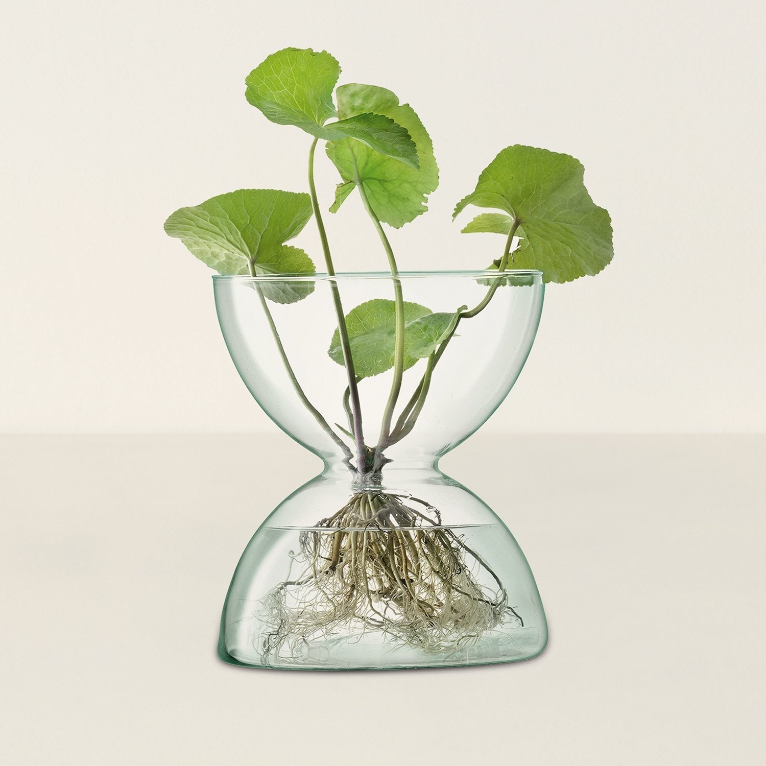 Canopy Vase