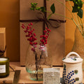 Seed Vase - 19 cm