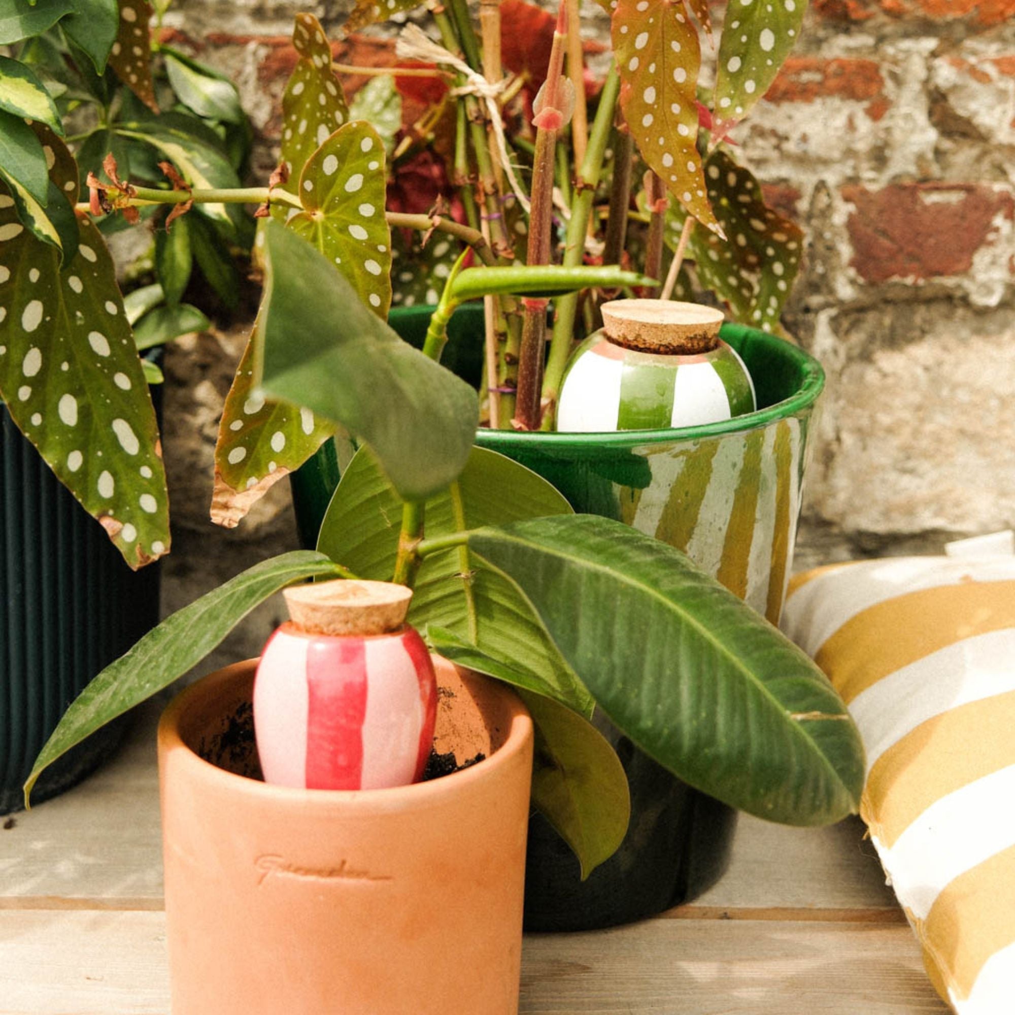 Mini Ollas Self-Watering Pots - Glaze- Set of 3