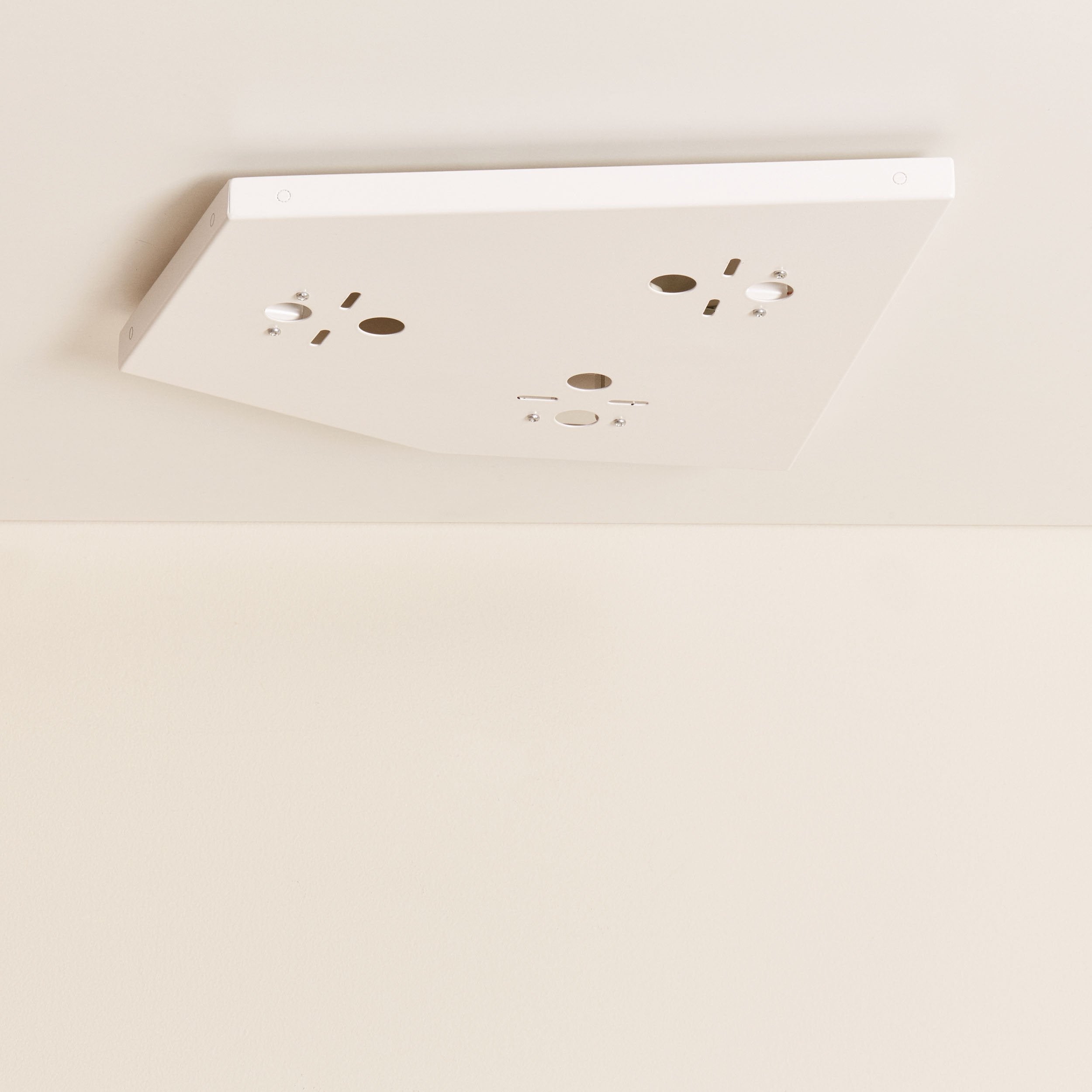 Voronoi Ceiling Plate