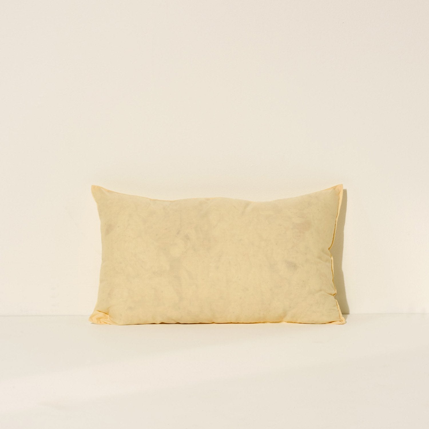 Lumbar Cushion Insert