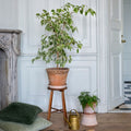 Copenhagen Ø30 Planter & Saucer