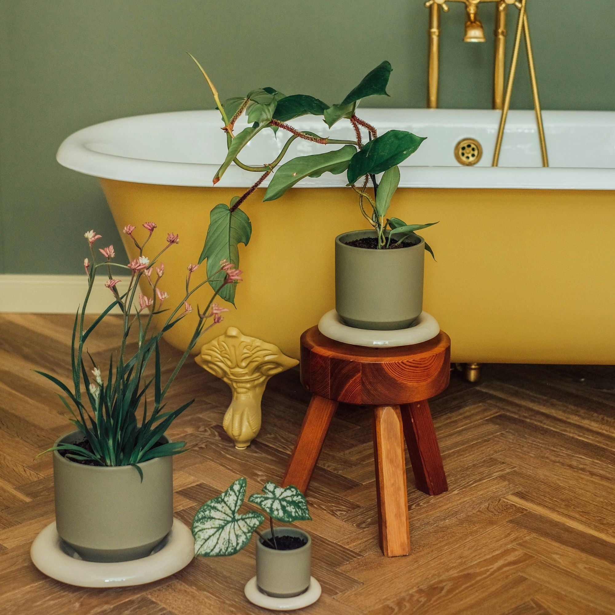 Lily Ø14 Planter