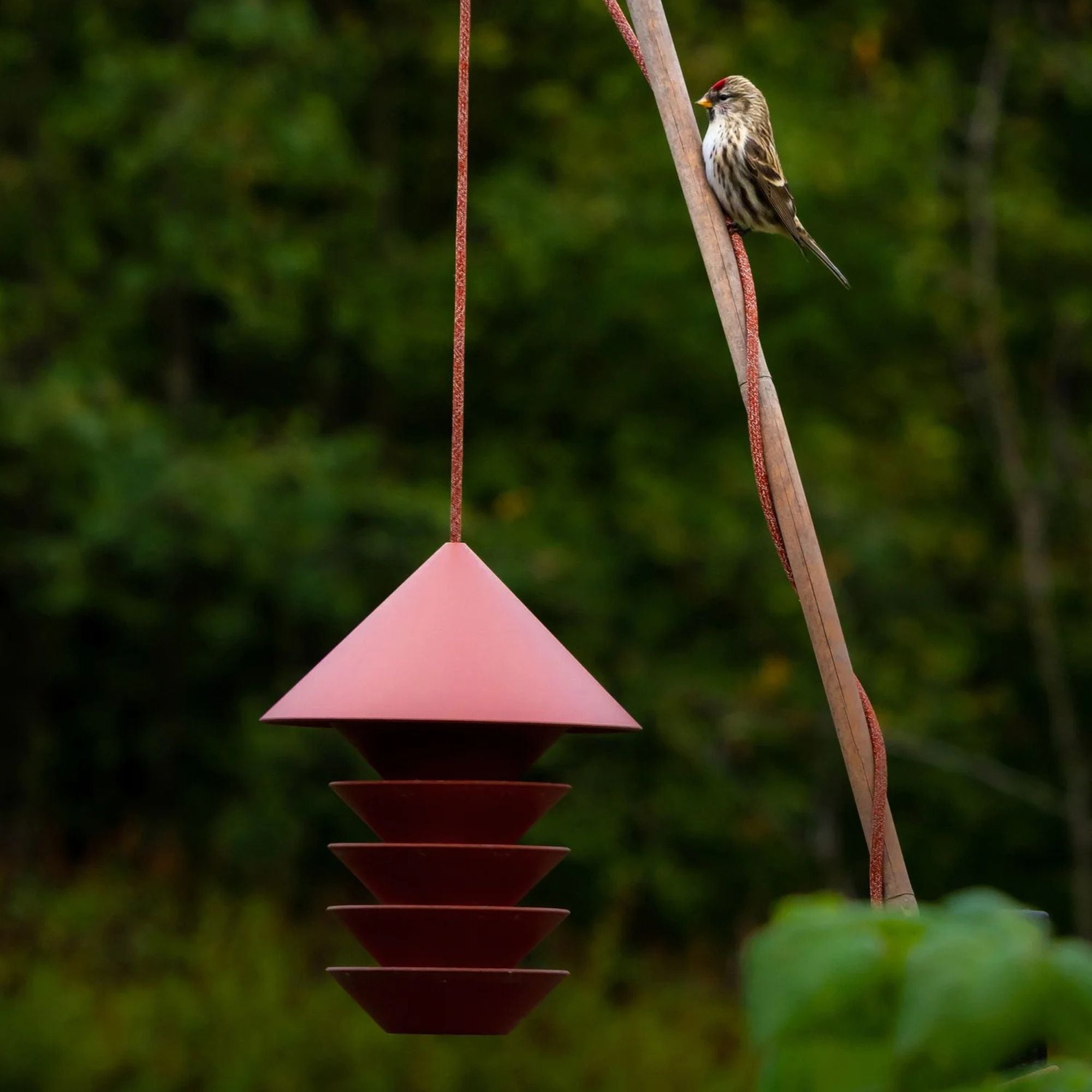 Silo Bird Feeder - Terracotta