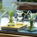 Canopy Trio Vase Set