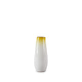 Sprout Vase in Yuzu Gradient