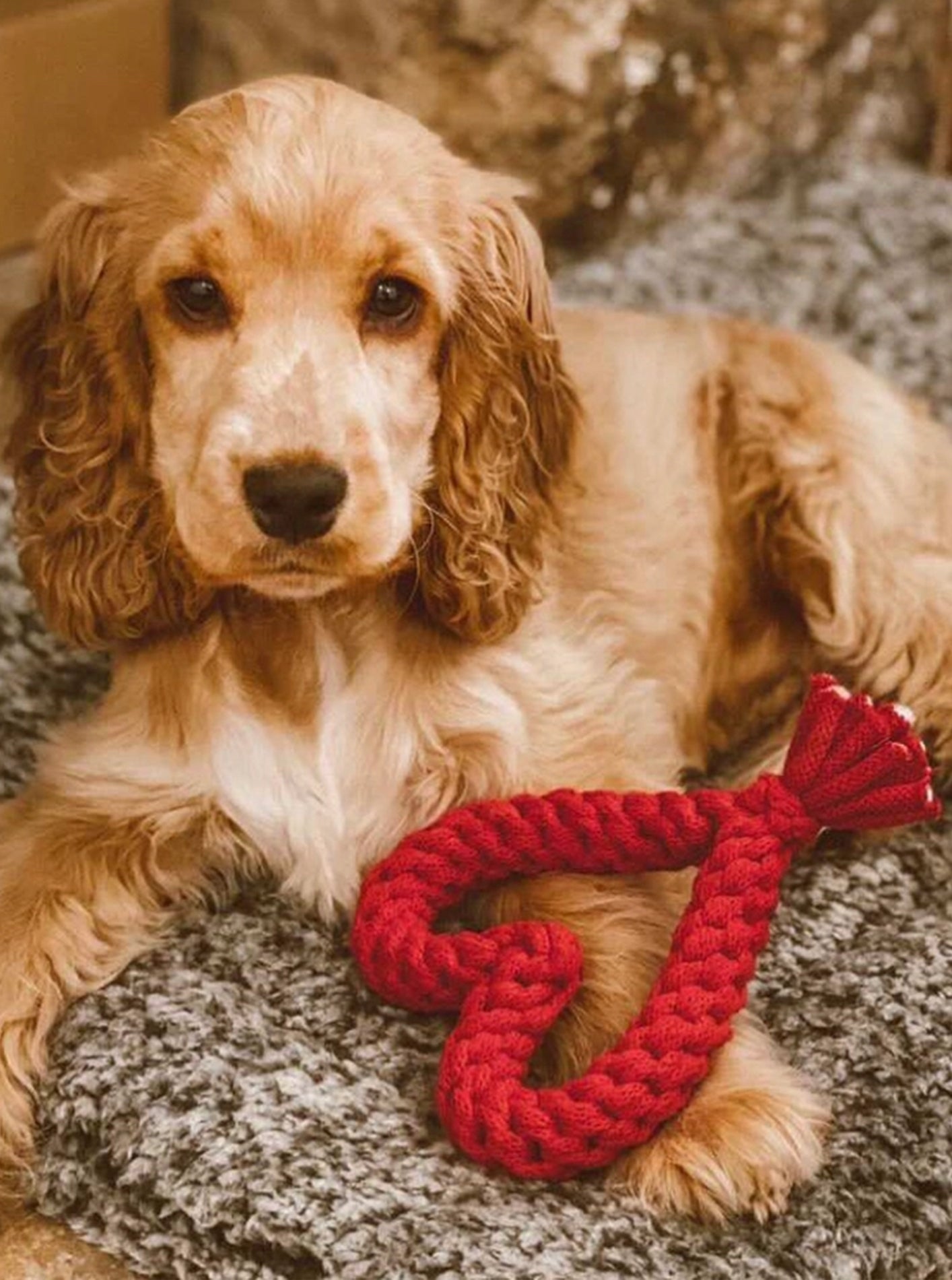 HOLIDAY HEART ROPE TOY by Muttsie UK