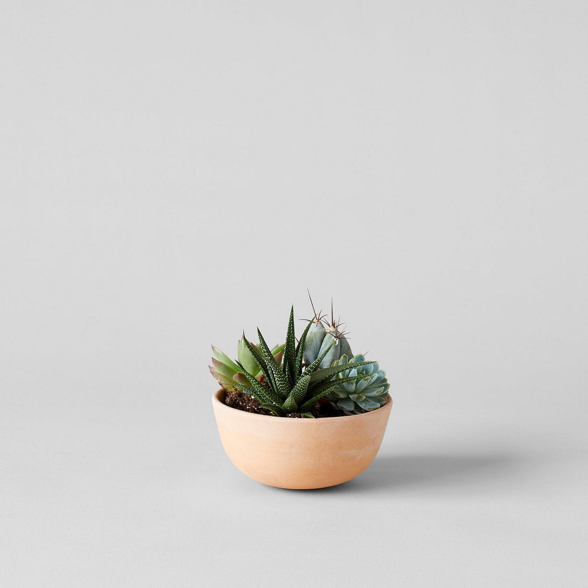 Half Sphere Terra Cotta Planter