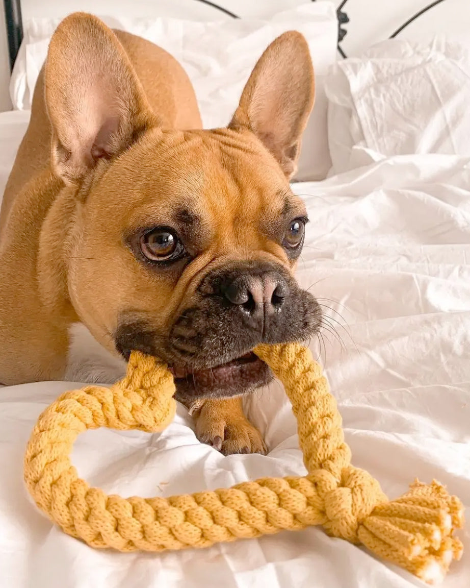 HEART TUG by Muttsie UK