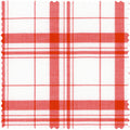 Red Archive Dishtowel Check