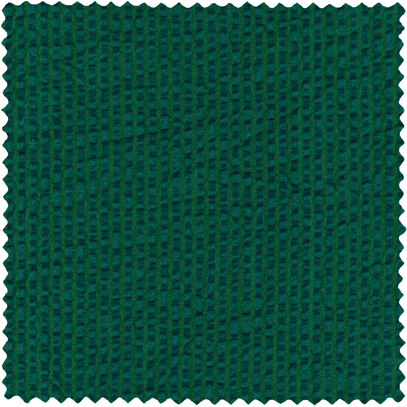 Junebug Green Seersucker