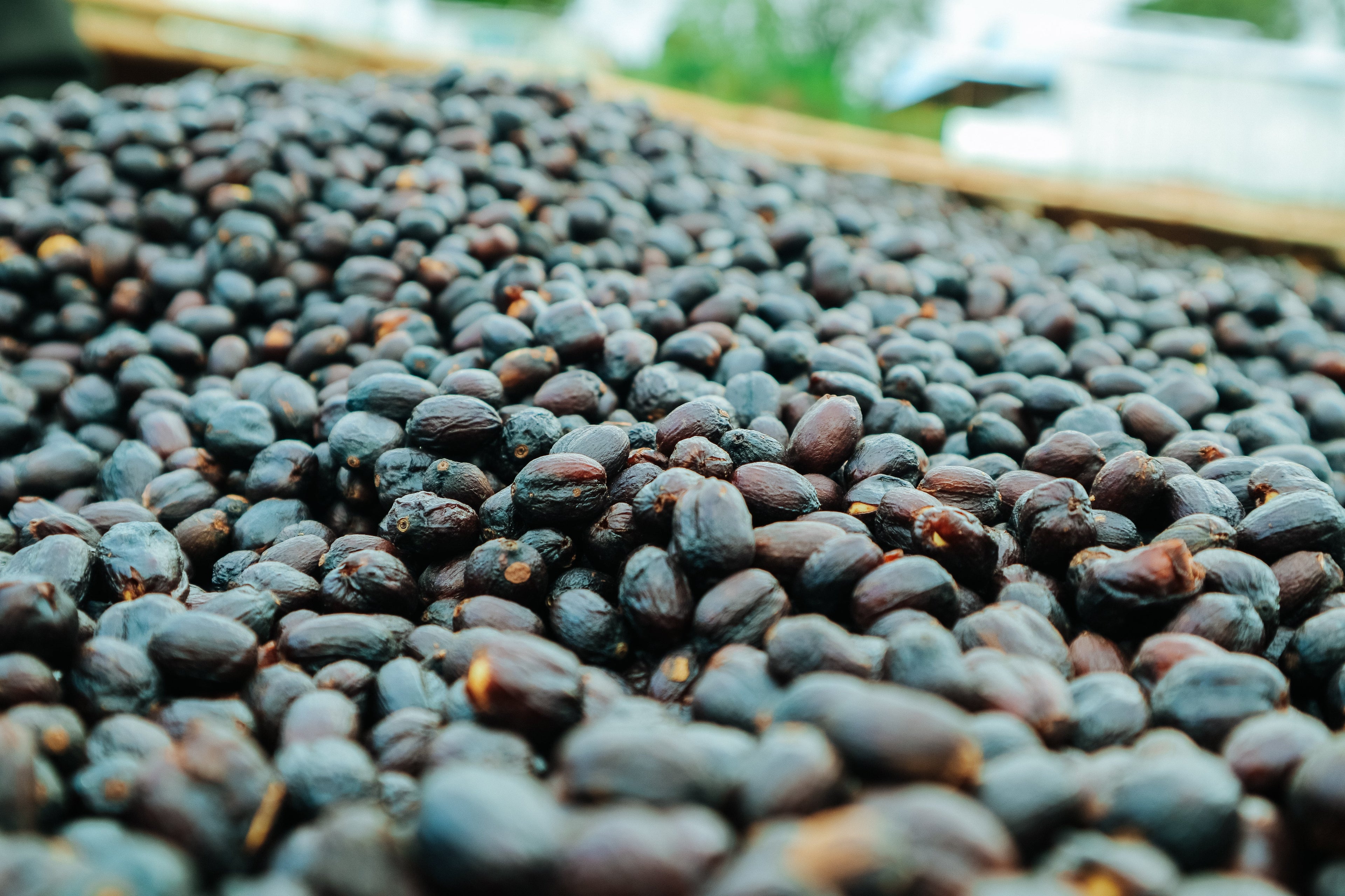 Okoluu – Natural Sundried