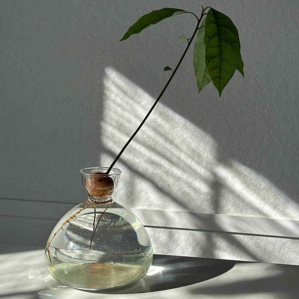 Avocado Vase