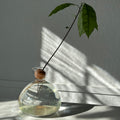 Avocado Vase