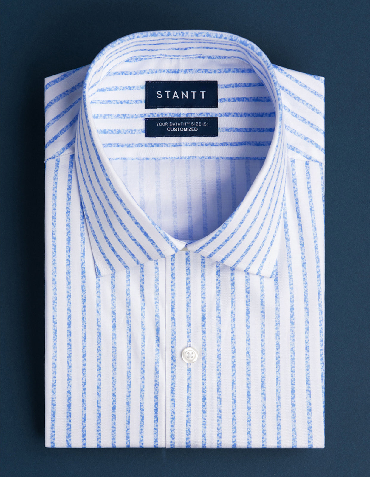 It's-All-In-The-Details Blue Floral Stripe Print