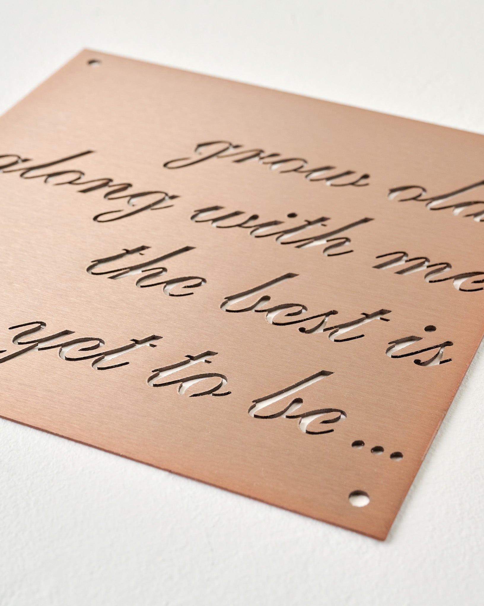 Grow Old Along With Me Sign