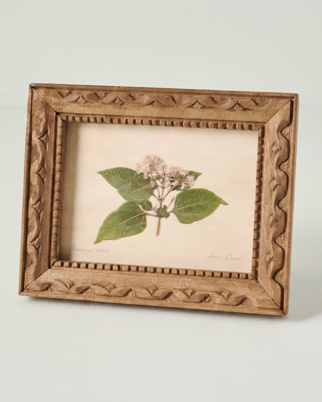Jo's Hand Pressed Herbarium Prints - "From Crew" '23