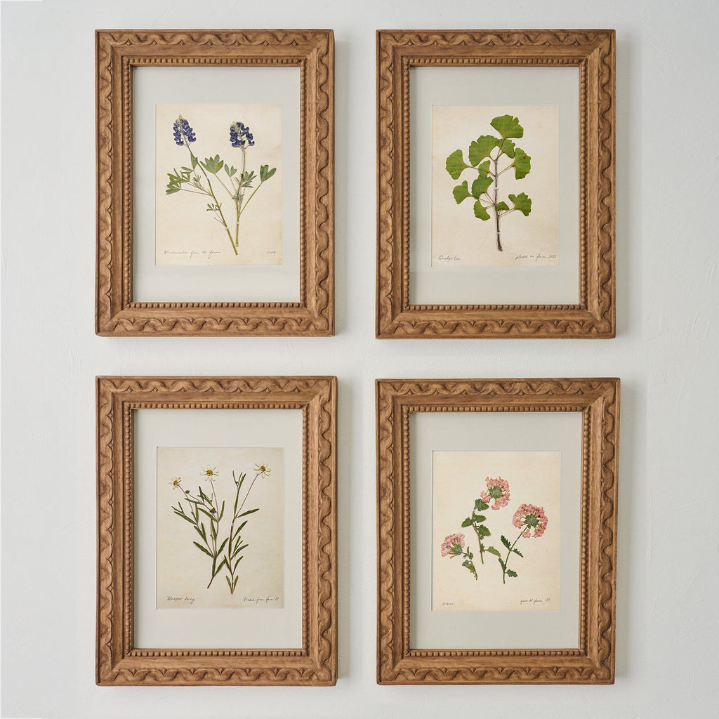 Jo's Hand Pressed Herbarium Prints - Ginkgo Tree '21