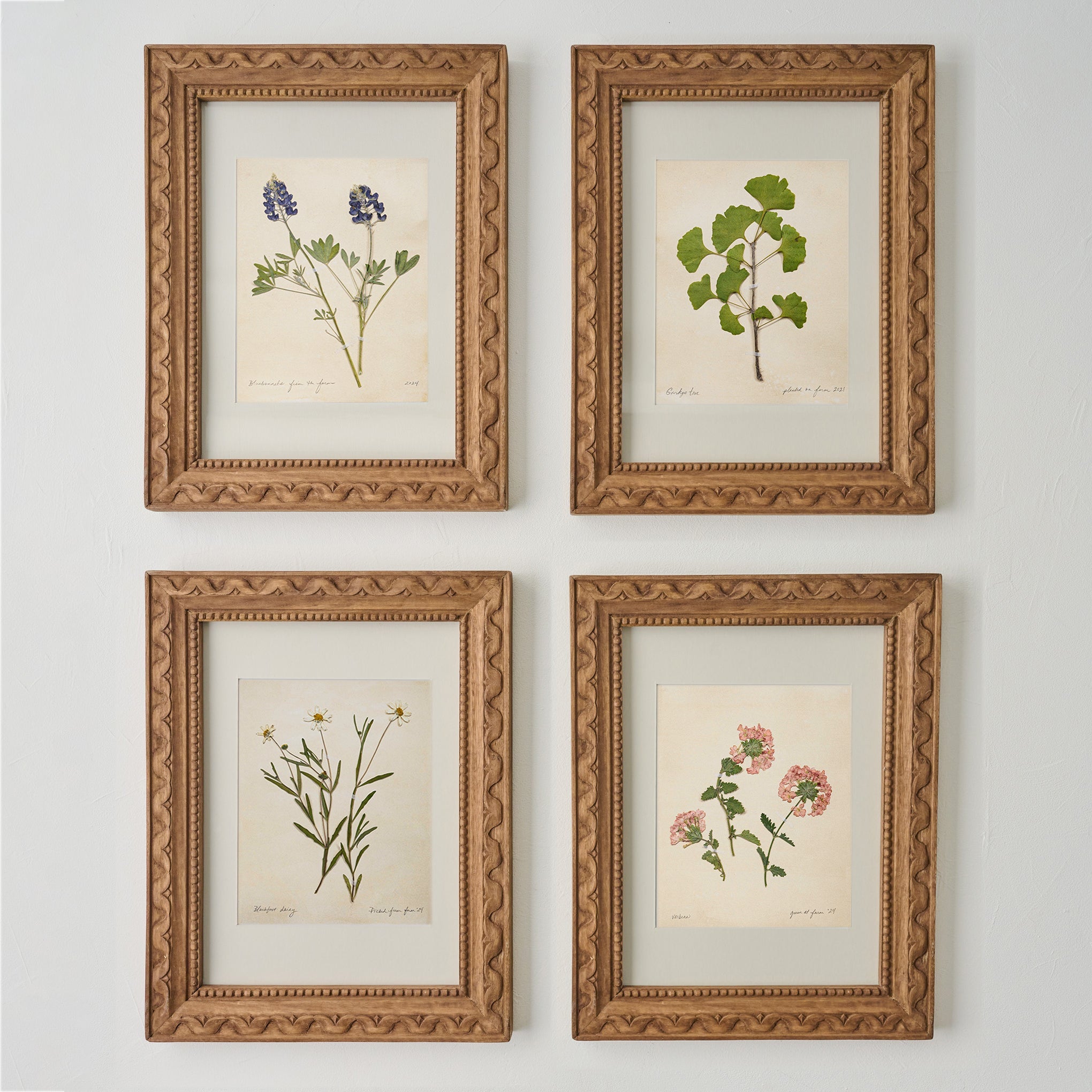 Jo's Hand Pressed Herbarium Prints - Ginkgo Tree '21