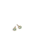 Elin Post Earrings