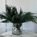 Preserved Cedar