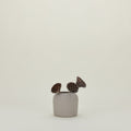 Extra Small Dome Vase